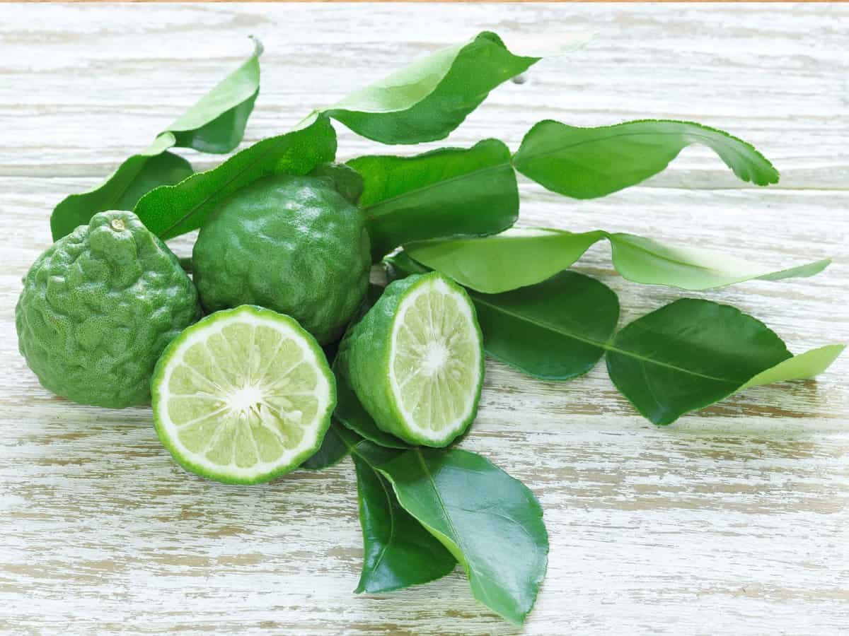 Makrut limes and makrut lime leaves
